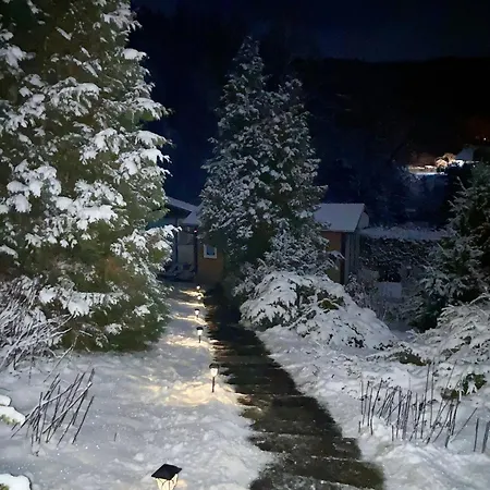 Kleines Haus Am Wald 度假居 Benshausen